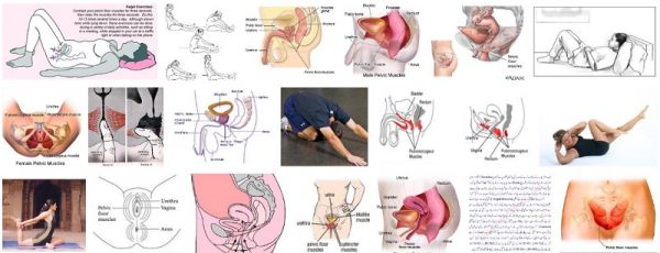 kegel results