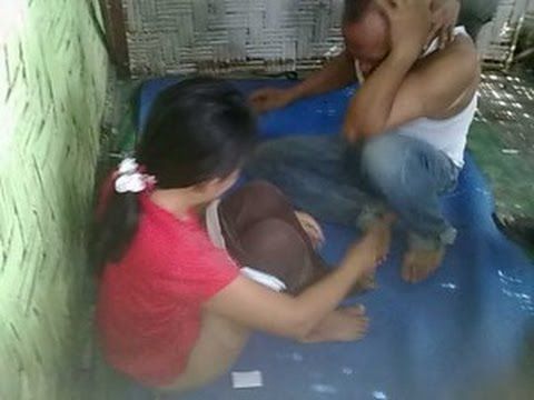 susu cewek abg