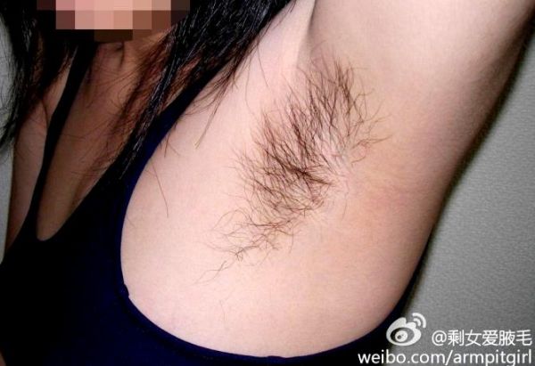 bulu memek lebat
