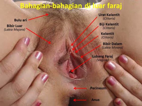 gambar wanita cantik