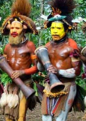 sperm tribe