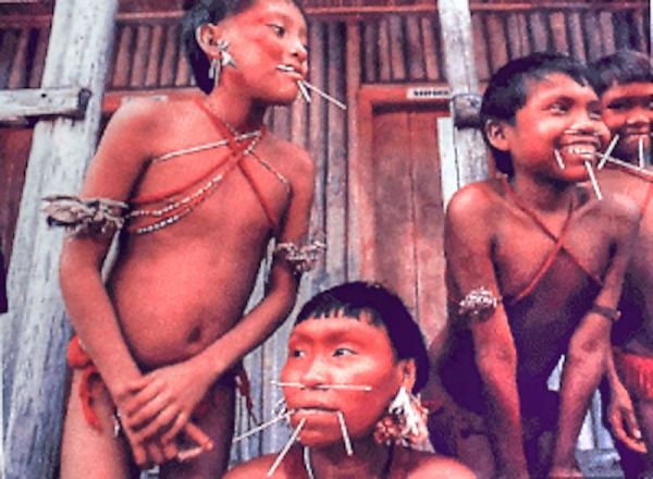 korowai tribe of new guinea