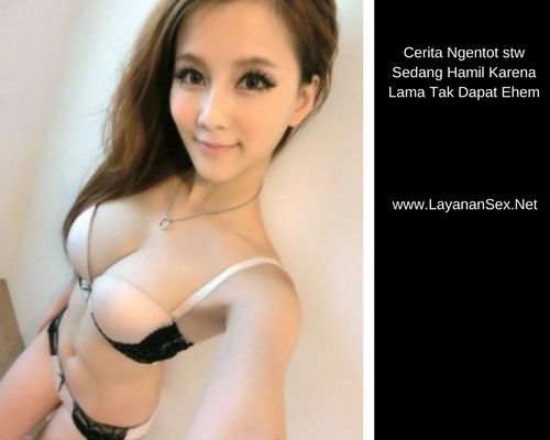 cerita ngentot dengan