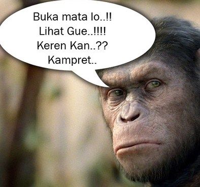 indobugils crot pejuh