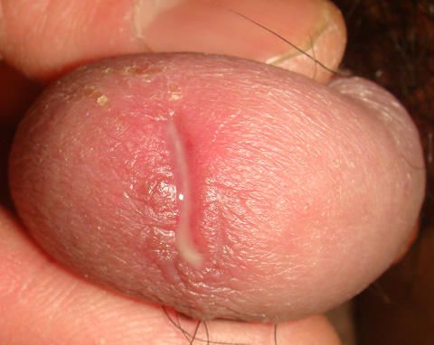 vagina sex