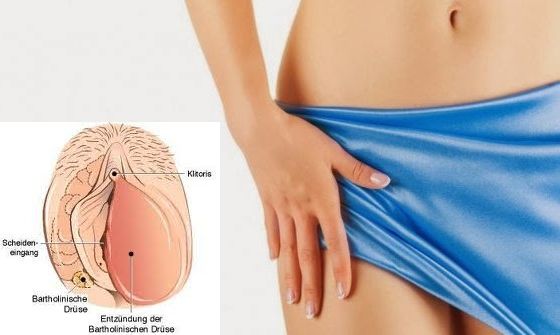 penis penetrating vagina