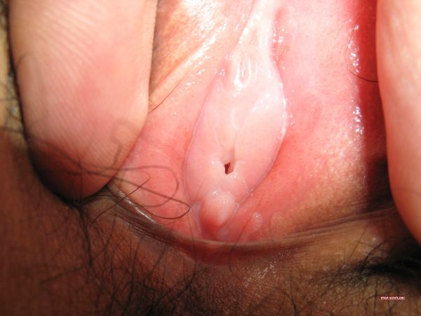 japanese virgin vagina
