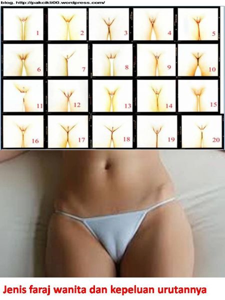 vagina wanita