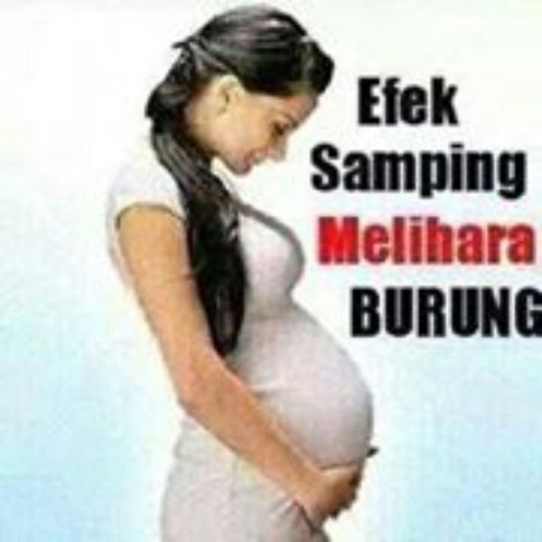 kata kata patah hati