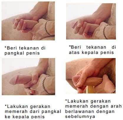 cara membesarkan payu dara secara alami