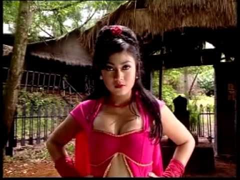 manohara odelia pinot