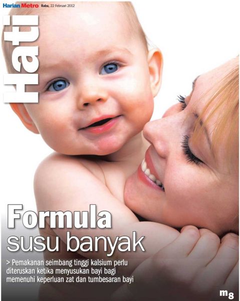 cerita ngentot babu