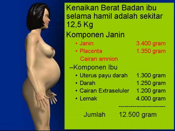 ibu hamil dan suami