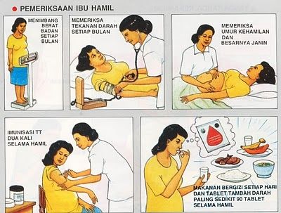 tetek ibu hamil