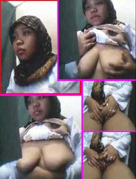 gambar susu