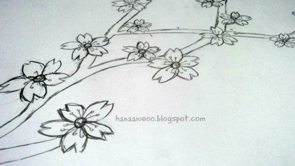 gambar sketsa mozaik flora