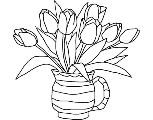 sketsa gambar burung