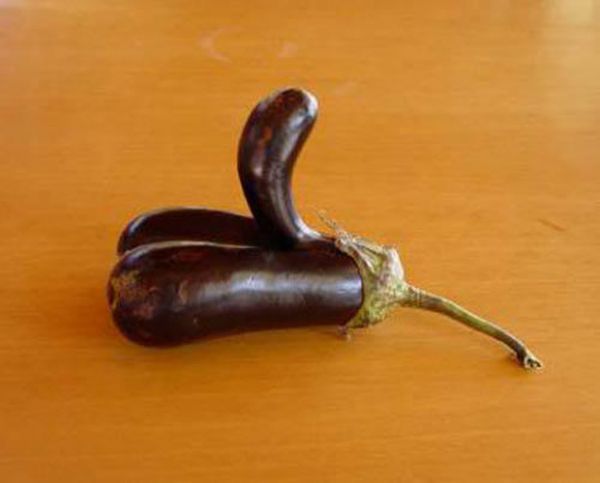 gemuk bugil
