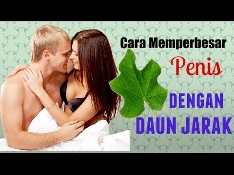 penis terbesar