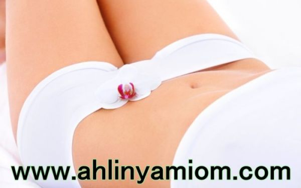 gambar vagina