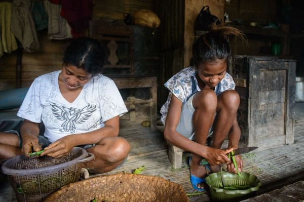 feto timor het at