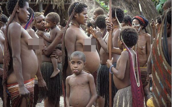 budaya suku dayak