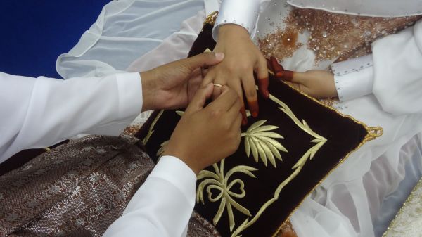 gambar tempek gedi