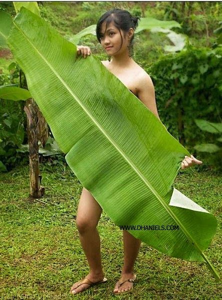 body bahenol
