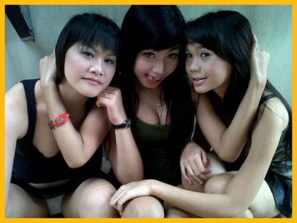 artis indo kelihatan cd