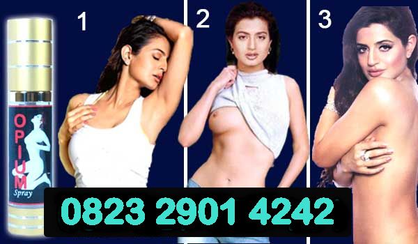 cara membuat obat perangsang wanita