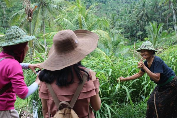 gambar pemandangan alam