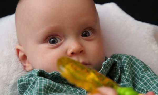 makanan penggalak susu ibu