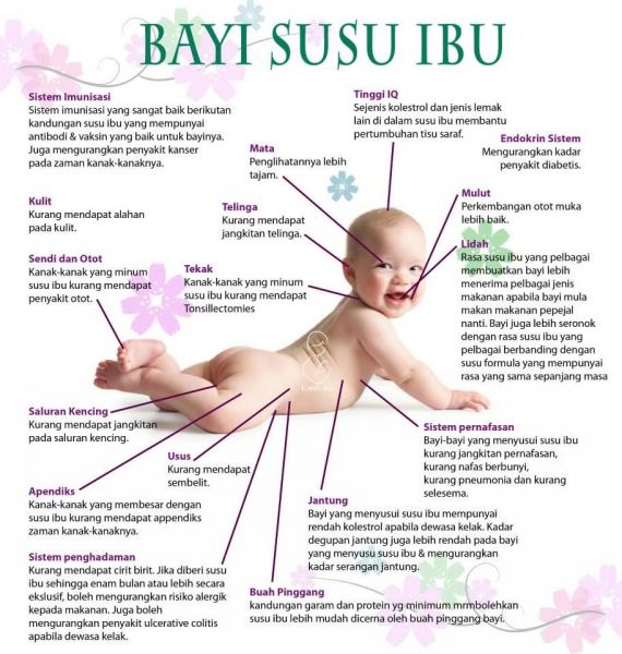 susu ibu muda