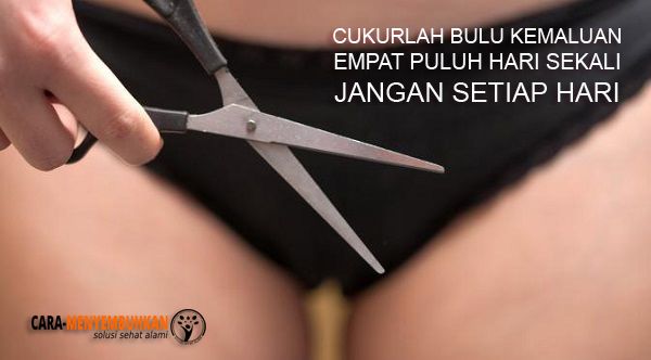 kemaluan wanita dara