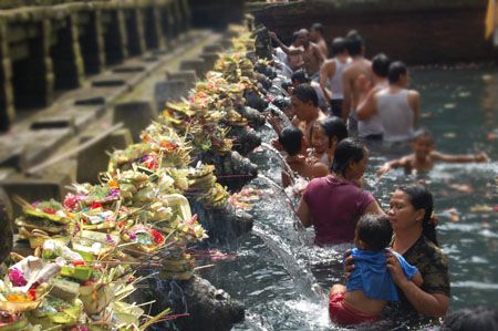 kontol smp ngaceng