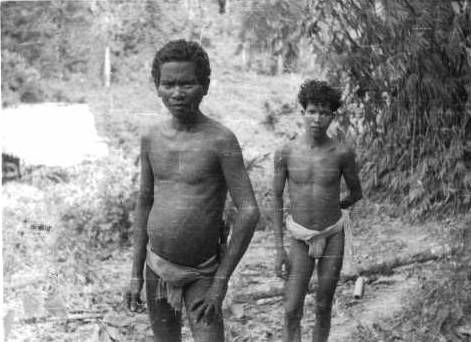 orang dayak