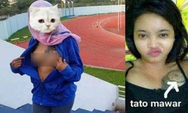 minum susu payu dara