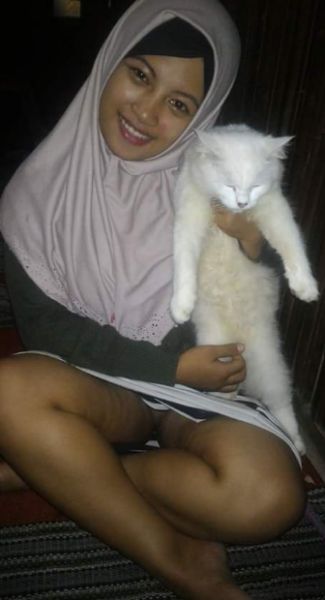 pamer jembut