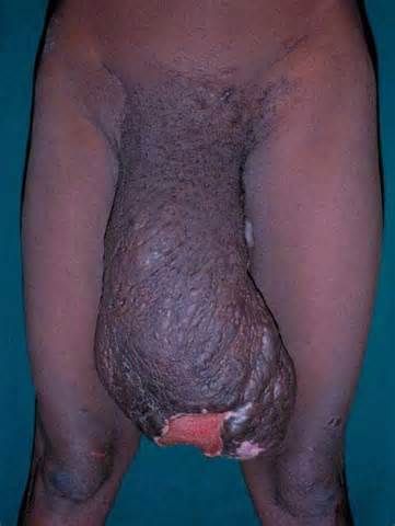 tightest vagina worlds