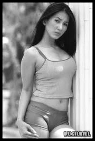 artis tercantik indonesia