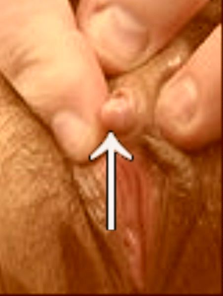 memek ngangkang