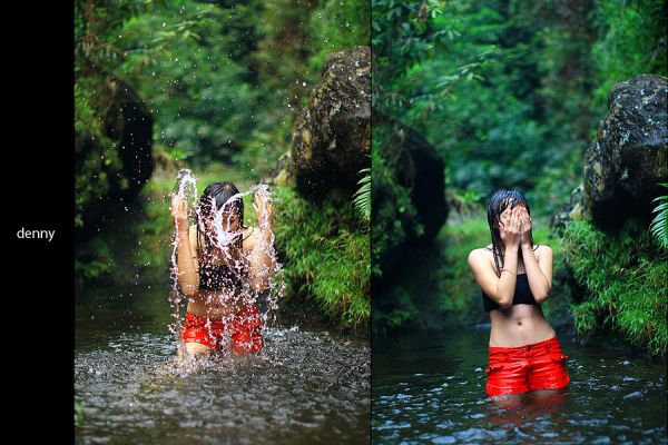 hutan belantara indonesia