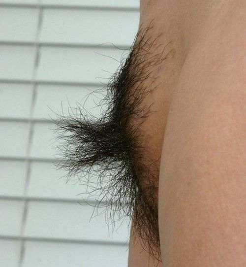 gambar memek