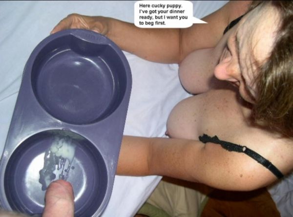 family cuckold captions