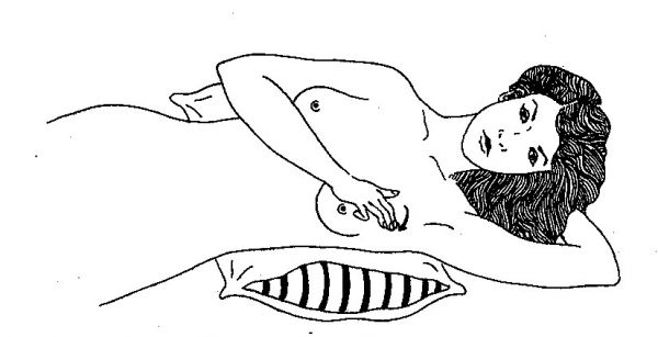 payudara besar