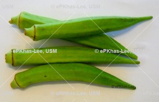 hitam putih gambar sayur sayuran