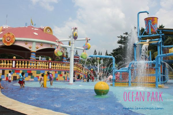 jasa membuat kolam ikan
