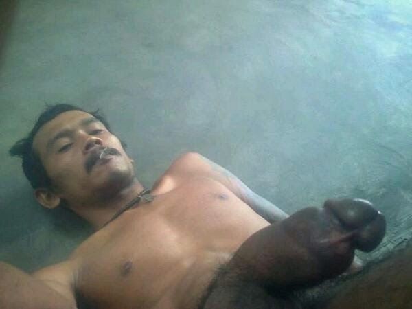 urut kontol indo