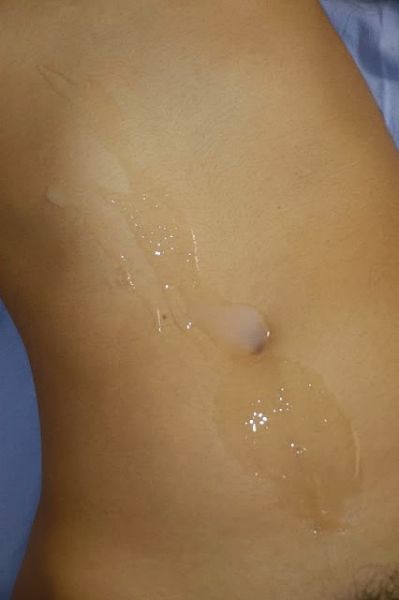 kontol masuk memek sandra dewi