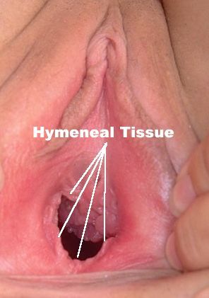 kontol masuk memek perawan
